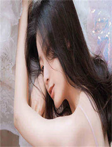 电视剧黑狐