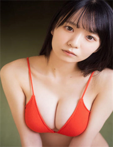 红色利剑电视剧全集